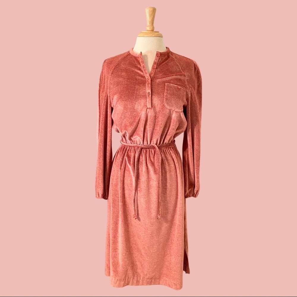Vintage 1970s Pink Velour Dress Gem